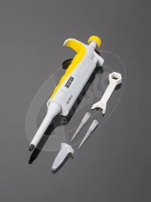 Fixed Micropipette