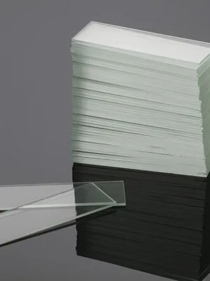 Buy Microscope Glass Slides